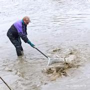 1700305517517