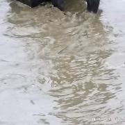 1700305552138