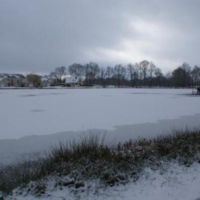 Plan d'eau - Hiver